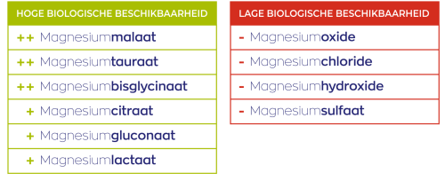 Magnesium 200 Citrat