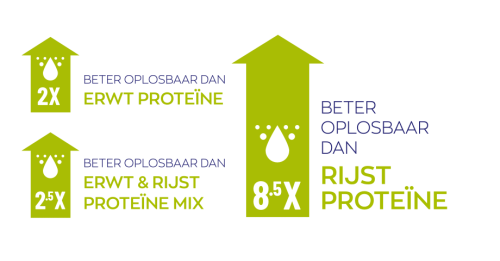 Vegan Protein fermented by Shiitake