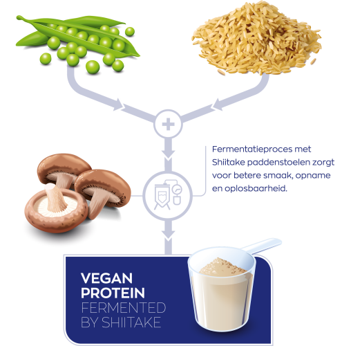 Vegan Protein fermented by Shiitake